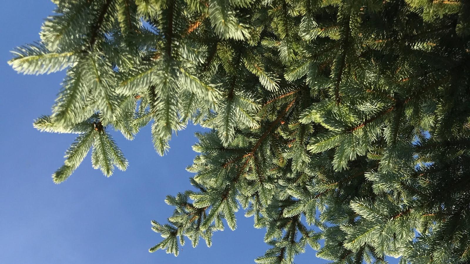 Bina Deprem Testi: Güvenliğiniz İçin Neden Bu Kadar Önemli?